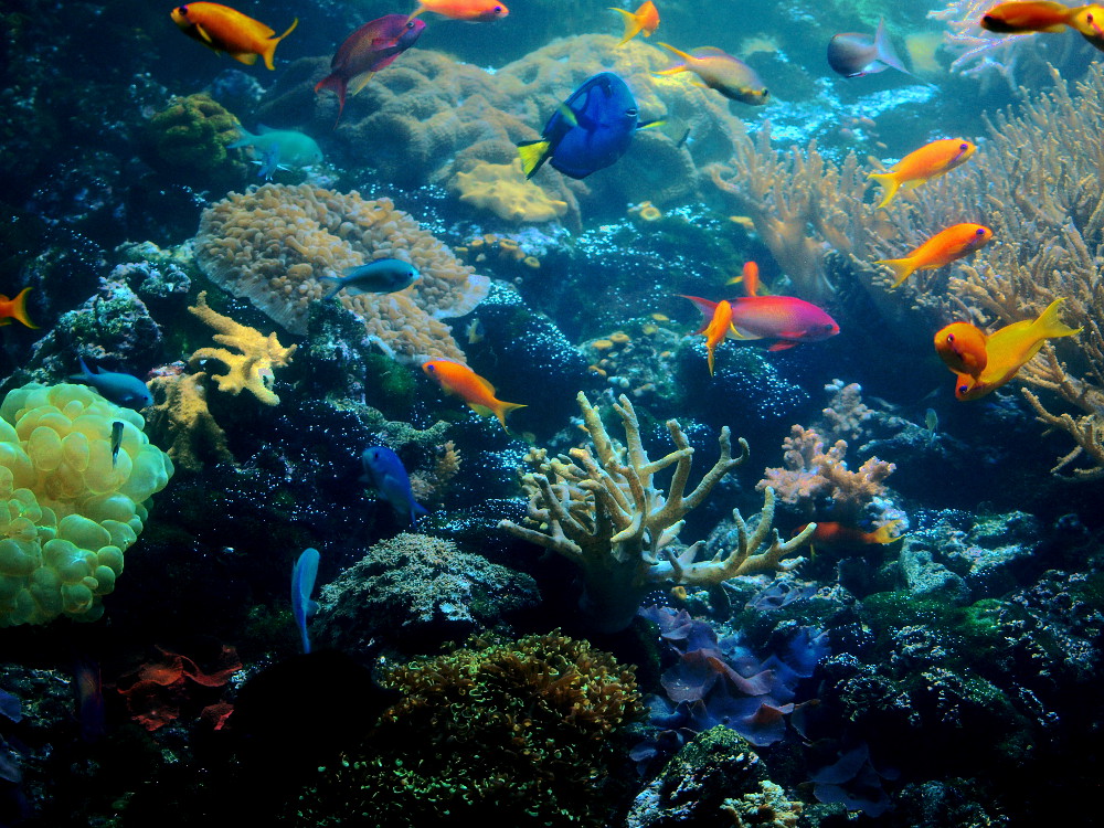 tropicarium_Budapešť